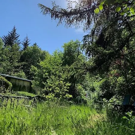 Sonnige Im Waldgebiet Apartamento