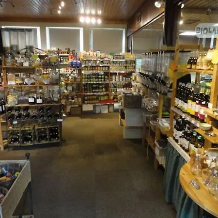 Sonnige Im Waldgebiet *