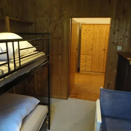 Sonnige Im Waldgebiet *