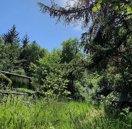 Sonnige Im Waldgebiet Apartamento