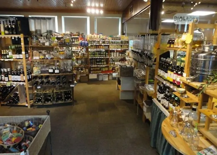 Sonnige Im Waldgebiet *