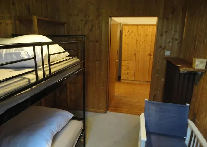 Sonnige Im Waldgebiet *